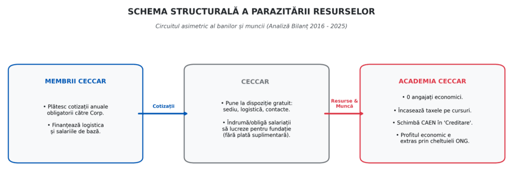 Infografic cu schema structurală a parazitării resurselor umane și folosirea angajaților CECCAR în fundația privată.
